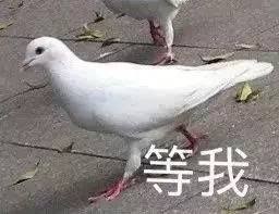 等我